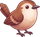 StudyWren home